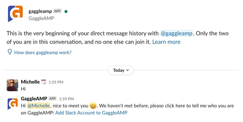 Slack_GaggleBot.png