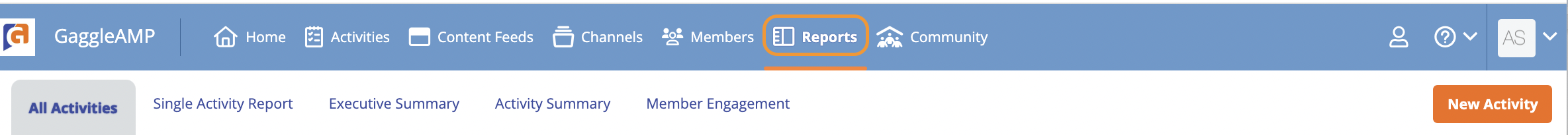 SS1_Reports.png